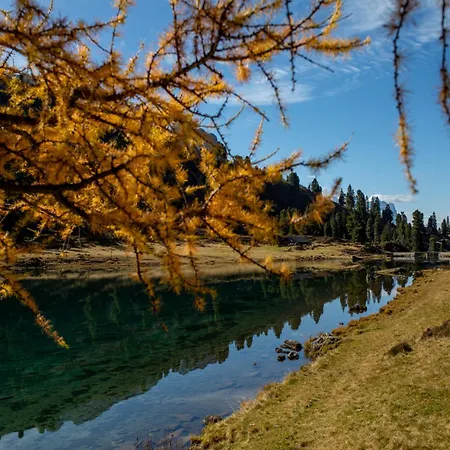 호텔 Victoria - Alpine Boutique & Fine Dining 4*