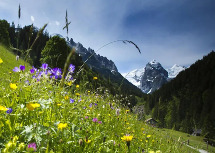 Victoria - Alpine Boutique & Fine Dining Meiringen