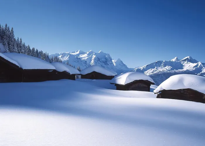 Hotel Victoria - Alpine Boutique & Fine Dining