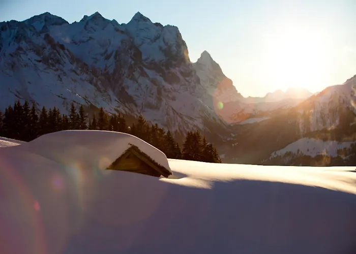 Victoria - Alpine Boutique & Fine Dining Отель 4*