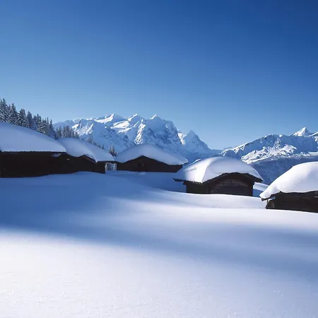 מלון Victoria - Alpine Boutique & Fine Dining