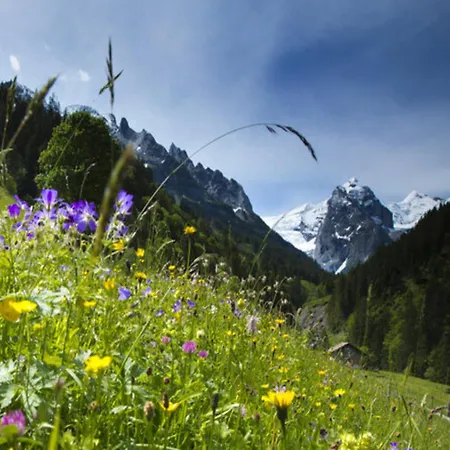 Victoria - Alpine Boutique & Fine Dining Meiringen